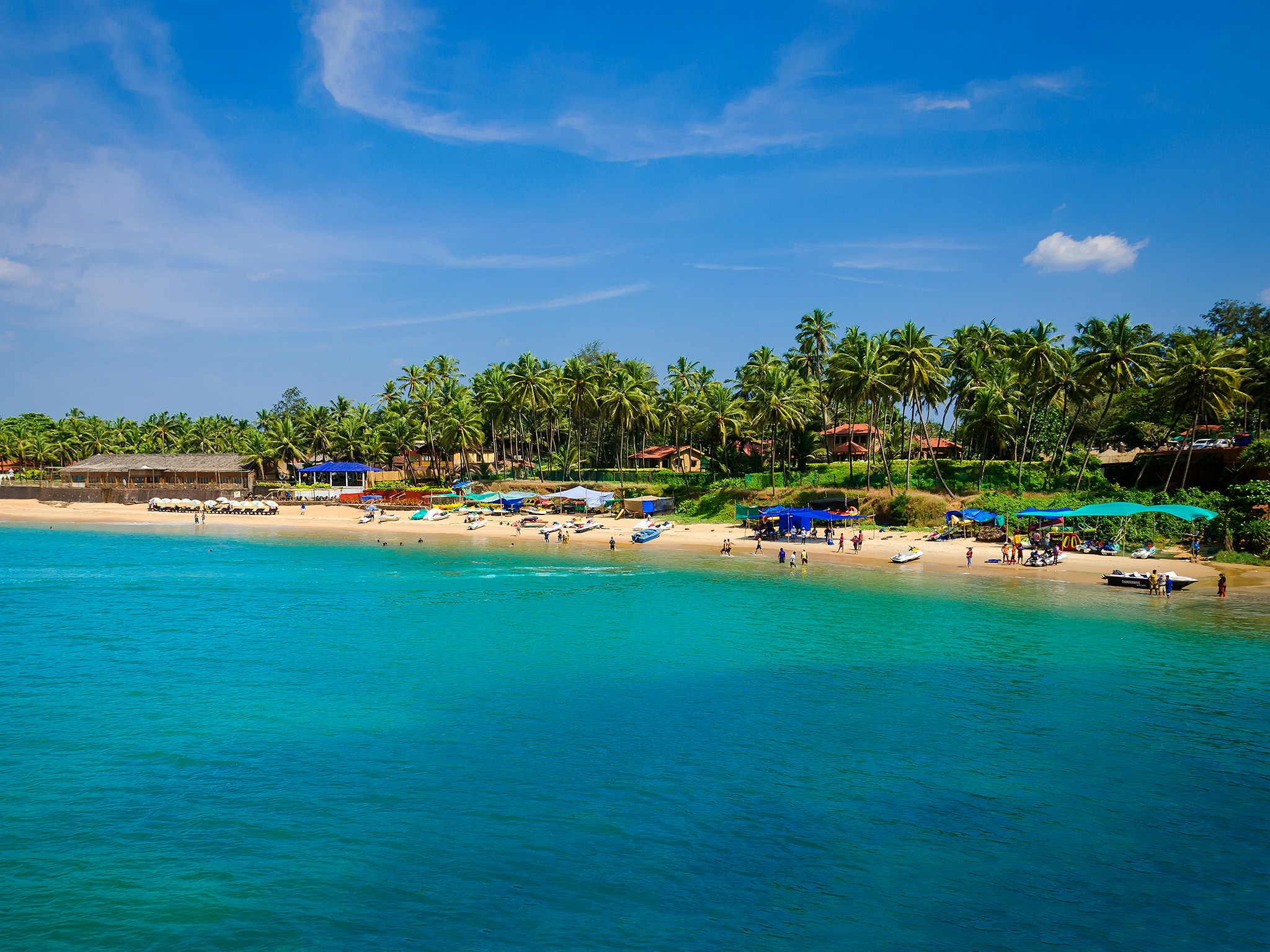 Image 1 of Goa's Beach Paradise